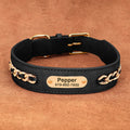 Custom Engraved Leather Dog Collar