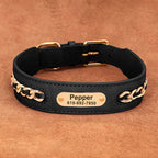 Custom Engraved Leather Dog Collar