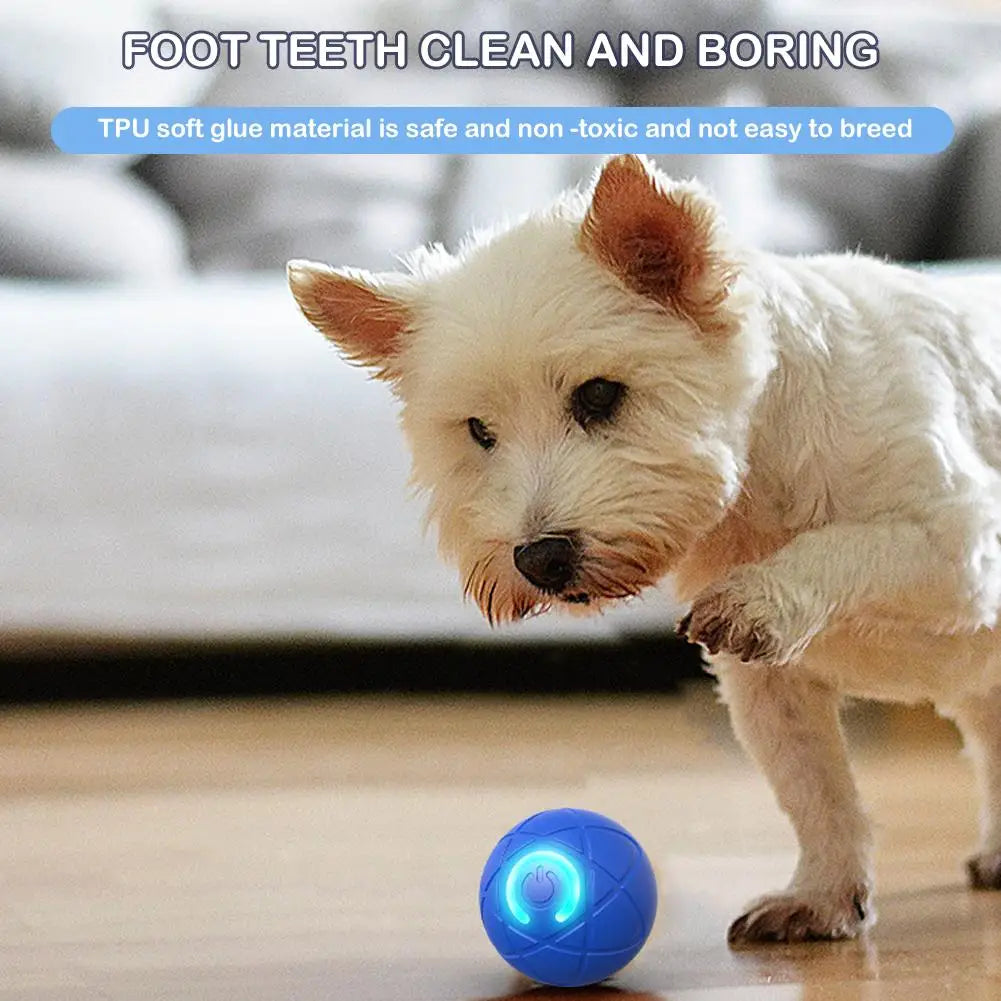 Smart USB Electric Bouncing Ball — Auto-Moving Toy for Cats & Dogs