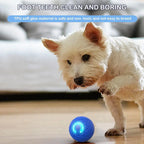 Smart USB Electric Bouncing Ball — Auto-Moving Toy for Cats & Dogs