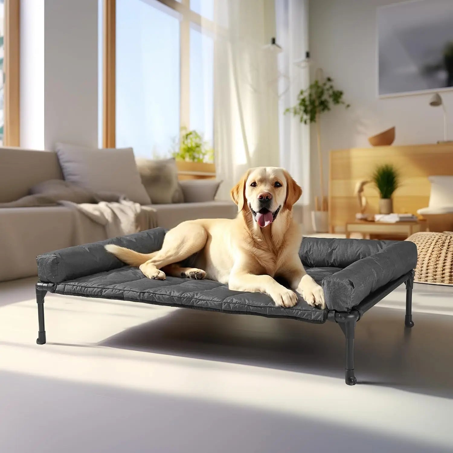 Cooling Elevated Dog Bed with Bolster Cushion, 42x30in