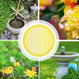 Floating Bee Waterer — Safe Drinking Island for Backyard Bees