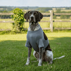 Dog Elbow Leg Sleeve Long (Anti-Lick, High Elasticity, S to 3XL)