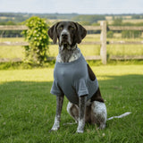 Dog Elbow Leg Sleeve Long (Anti-Lick, High Elasticity, S to 3XL)