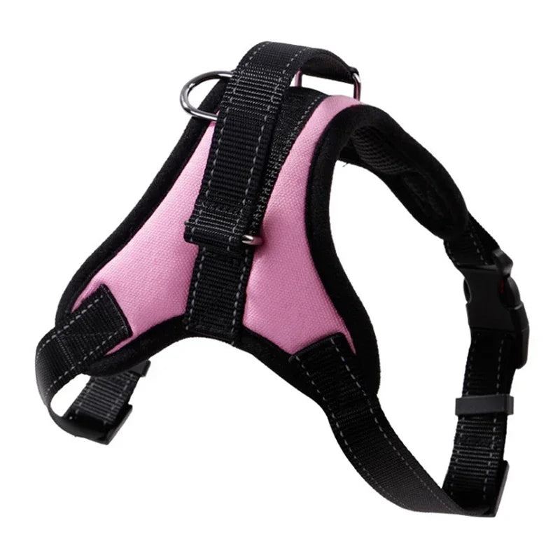 Adjustable Dog Harness & 150cm Leash Set — Reflective Design