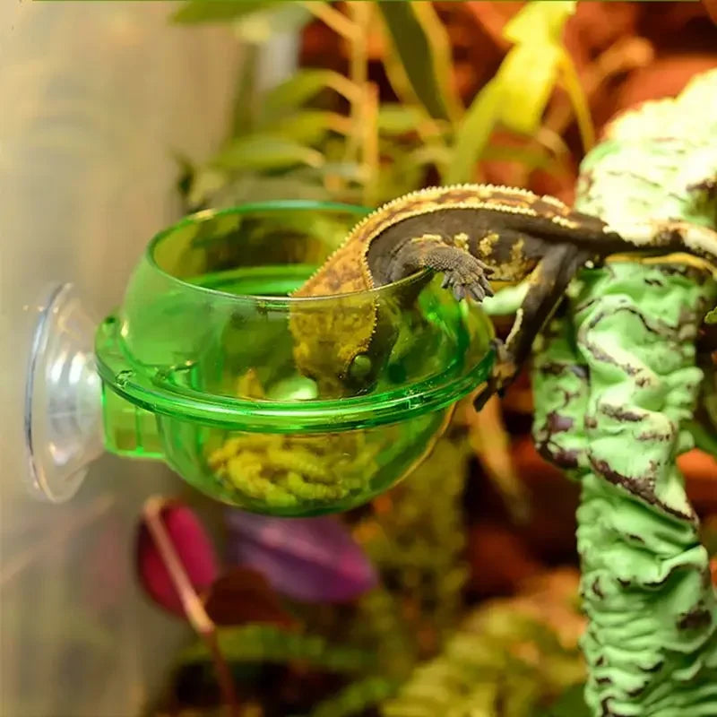 Anti-Escape Reptile Feeding Bowl — Suction-Mount Food & Water Dish