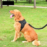Adjustable Dog Harness & 150cm Leash Set — Reflective Design