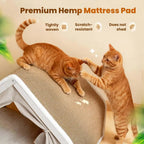 Wooden Cat Cave Bed with Sisal Scratcher & Curtains
