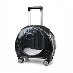 Transparent Space Capsule Pet Backpack Carrier — Large Capacity Multi-Purpose Outdoor Bag for Cats & Dogs