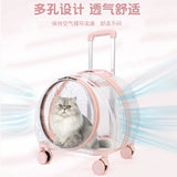 Pet Carrier Universal Wheel Rolling Cat Carrier Clear Trolley Case Large Capacity Pet Carrier Breathable Pet Travel Bag Fashion