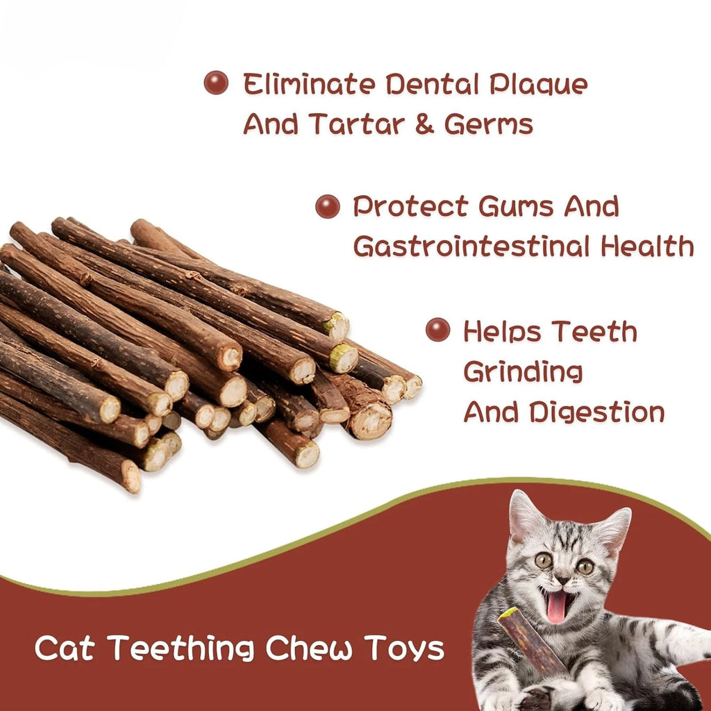 Silvervine Chew Sticks for Cats (10-Pack)