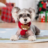 Christmas Day Sweater & Scarf Set for Dogs (Warm Winter Coat)
