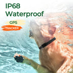 Adjustable GPS Collar Tracker for Cats & Small Dogs - Real-Time iOS & Android