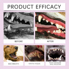 Hypoallergenic Dental Care Spray for Dogs & Cats — No-Brush, 12-Hour Fresh Breath