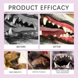 Hypoallergenic Dental Care Spray for Dogs & Cats — No-Brush, 12-Hour Fresh Breath