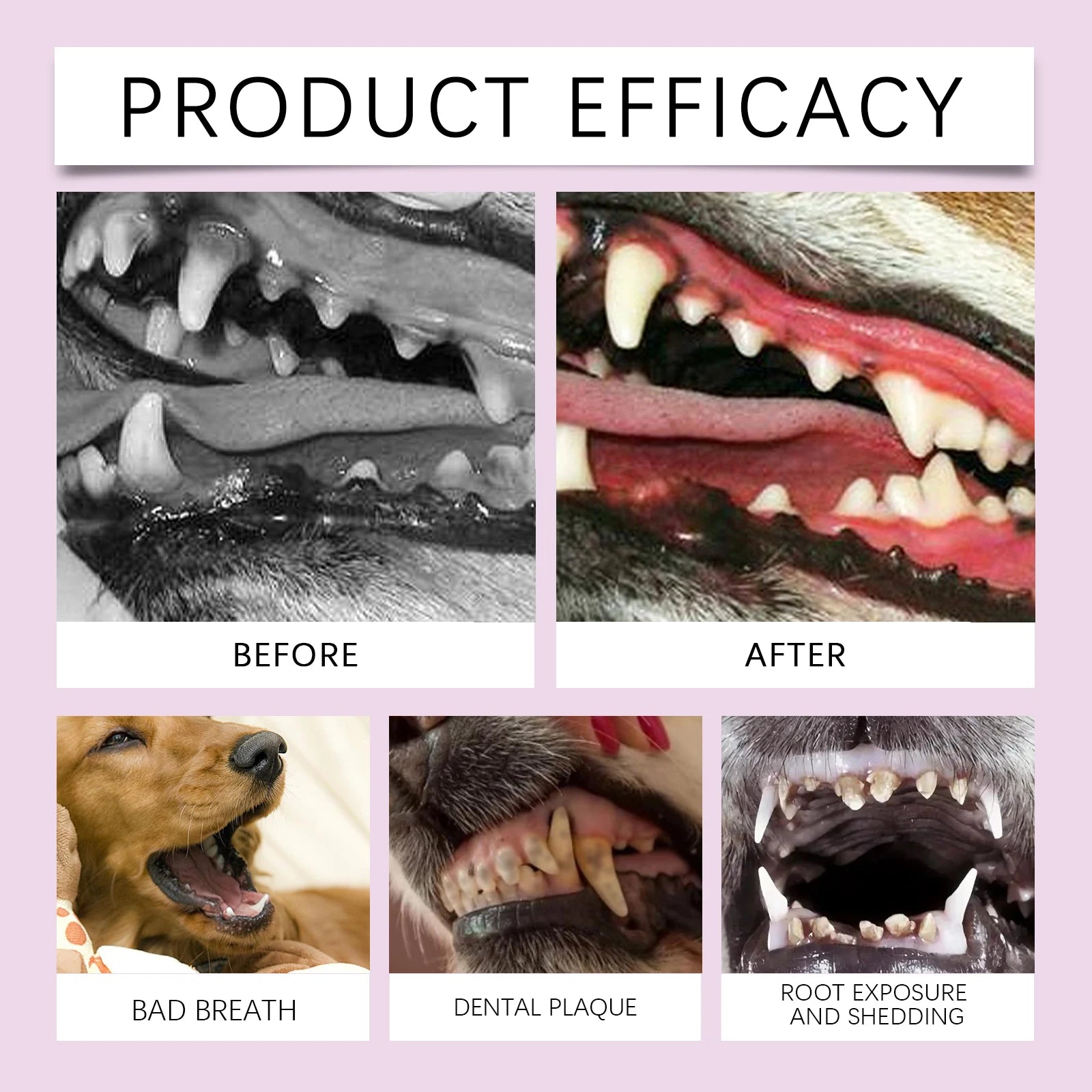 Hypoallergenic Dental Care Spray for Dogs & Cats — No-Brush, 12-Hour Fresh Breath