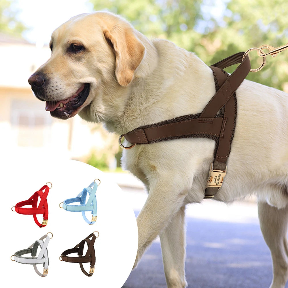 Personalized Engraved Dog Harness