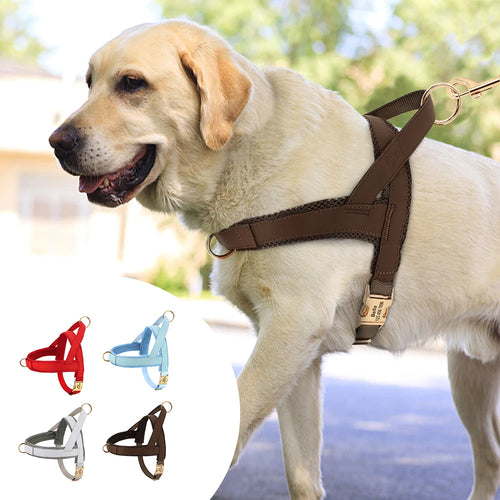 Personalized Engraved Dog Harness