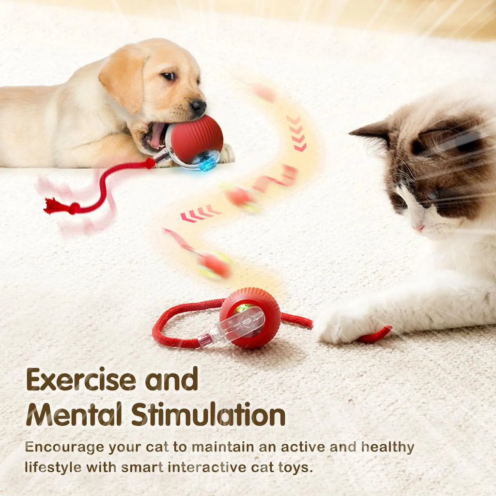 Auto Rolling Ball Cat Toy with Tail — Rechargeable Smart Mouse Teaser