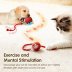 Auto Rolling Ball Cat Toy with Tail — Rechargeable Smart Mouse Teaser