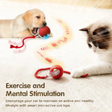 Auto Rolling Ball Cat Toy with Tail — Rechargeable Smart Mouse Teaser