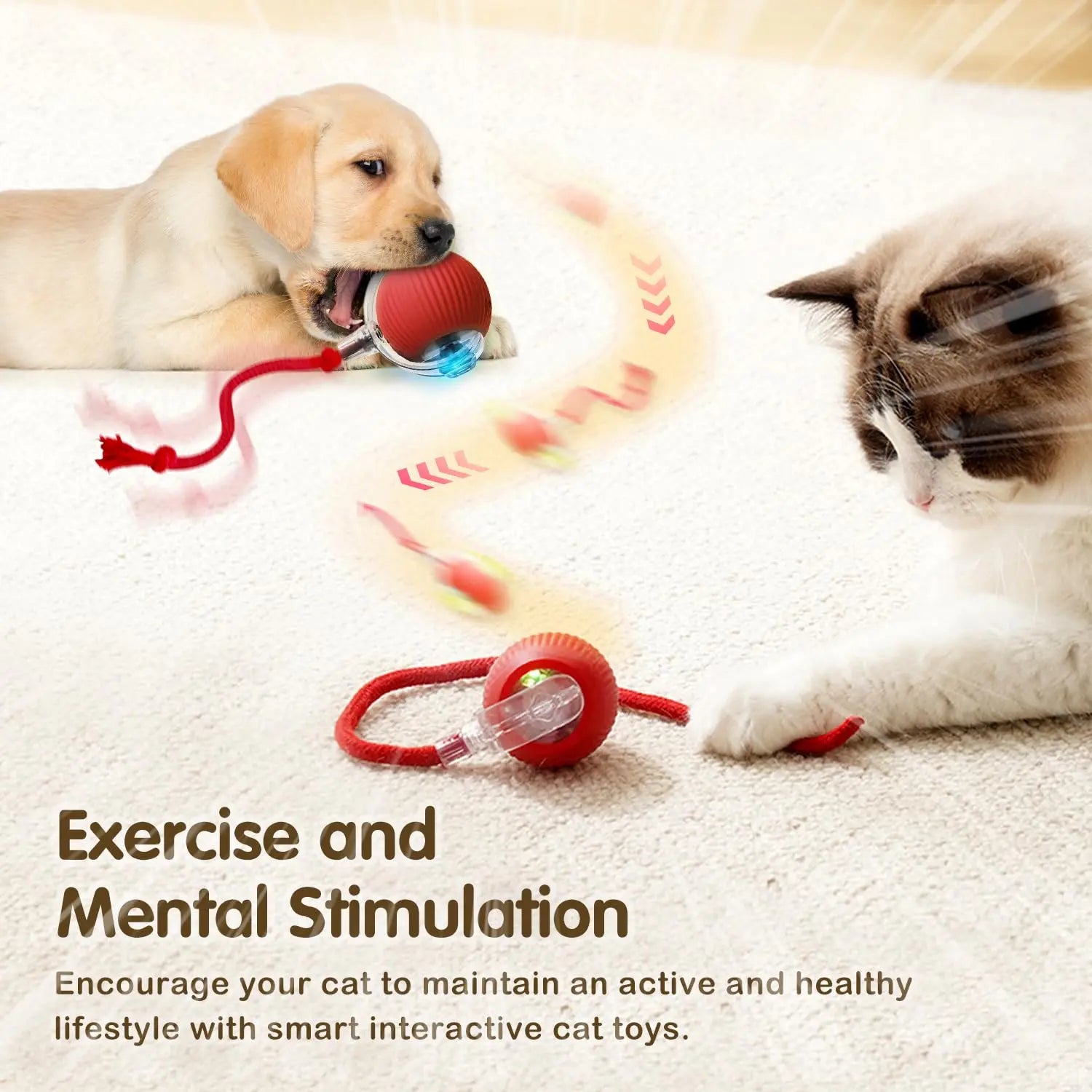 Auto Rolling Ball Cat Toy with Tail — Rechargeable Smart Mouse Teaser