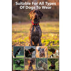 Professional Hunting Dog GPS Tracker with Real-Time Compass & 20-Collar Sync
