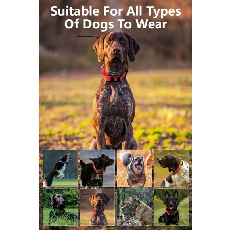 Professional Hunting Dog GPS Tracker with Real-Time Compass & 20-Collar Sync