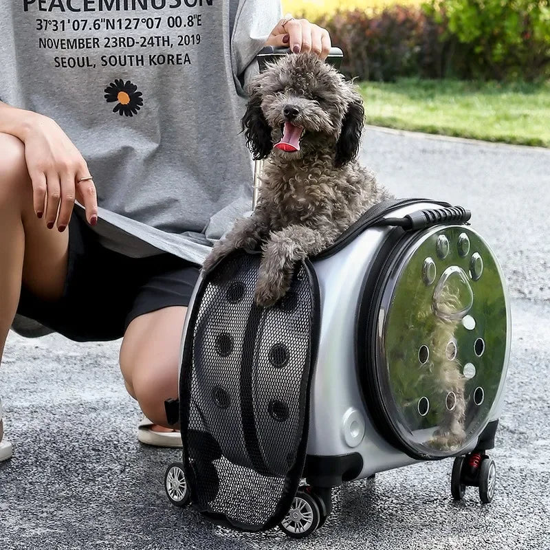 Transparent Space Capsule Pet Backpack & Luggage Bag — Large Capacity Multi-Purpose Carrier for Cats & Small Dogs