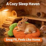 Carrot-Shaped Pet Bed — Thickened Cozy Mat for Rabbits & Guinea Pigs