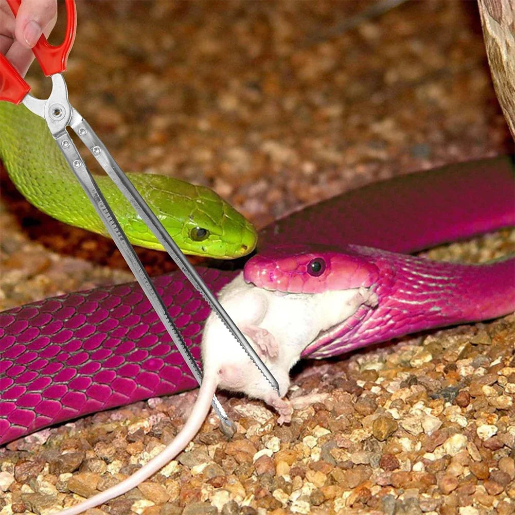 Extra-Long Snake Feeding Tongs — Serrated Grip Tweezers, 28cm/38cm