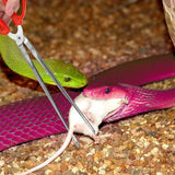 Extra-Long Snake Feeding Tongs — Serrated Grip Tweezers, 28cm/38cm