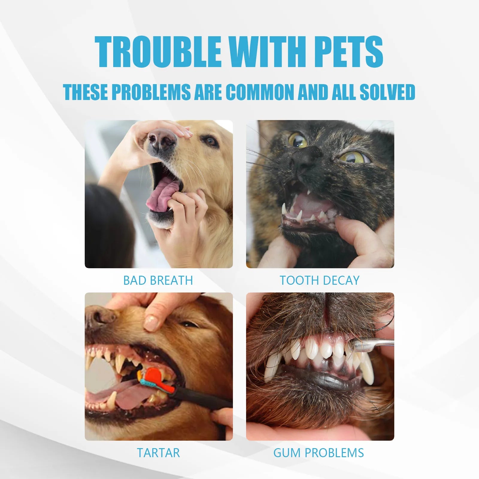 Edible Pet Toothpaste — Removes Tartar & Freshens Breath for Dogs & Cats