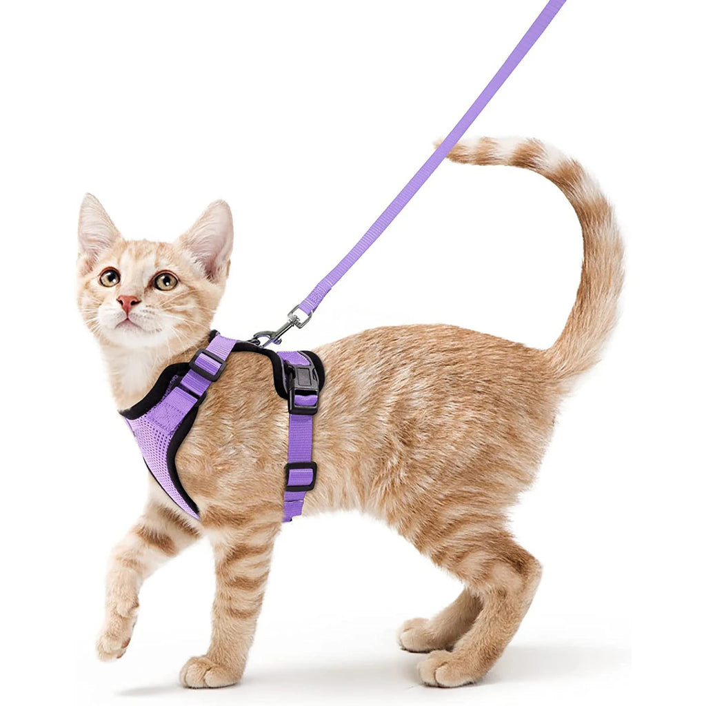 Anti-Escape Kitten Harness & Leash Set — Lightweight Breathable Vest