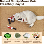 4-Pack Knife-Shaped Catnip Crinkle Toys — Fun Indoor Exercise