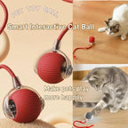 Auto Bouncing Ball Cat Toy — Rechargeable, Motion-Activated, 3 Modes
