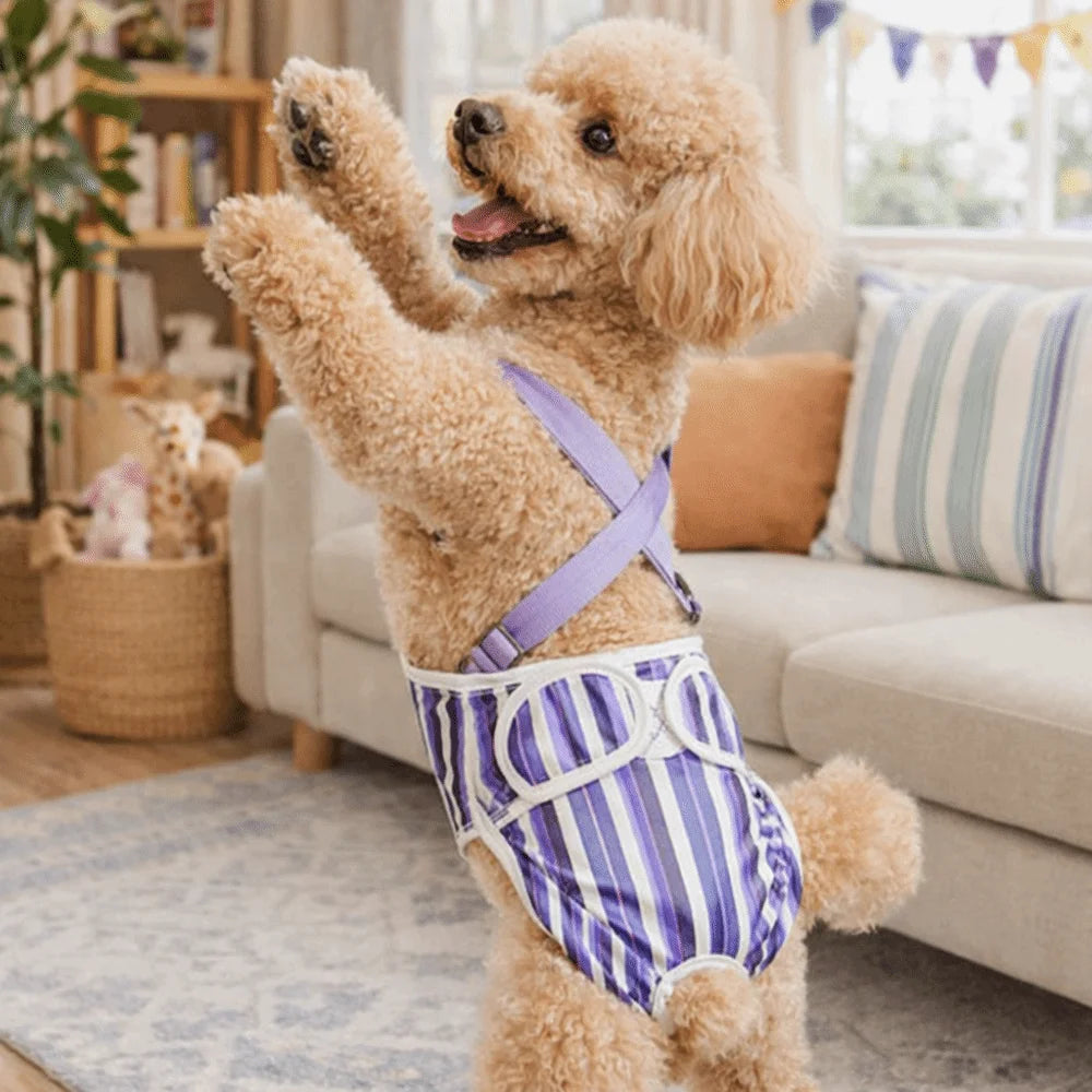 Washable Female Dog Diaper with Suspenders (Striped, Breathable)