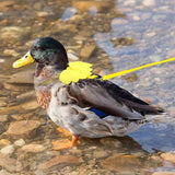 Adjustable Nylon Pet Harness — Walking Leash for Small Animals