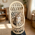 Handwoven Rattan Cat Sofa Bed & Photo Prop