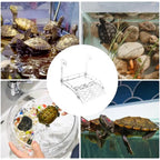 Acrylic Turtle Basking Ramp — Suction Cup or Hook-Mount Dock
