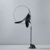 Suction Cup Feather & Bell Cat Teaser