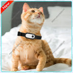 HD 1080P Wireless Pet Collar Camera with 32GB Card for Cats & Dogs - Mini Body Cam