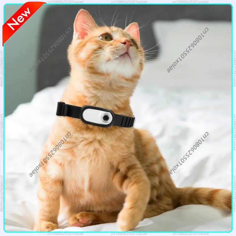 HD 1080P Wireless Pet Collar Camera with 32GB Card for Cats & Dogs - Mini Body Cam