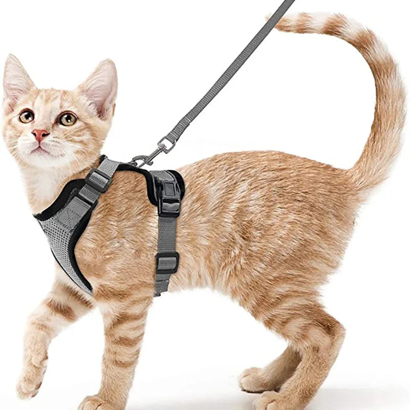 Anti-Escape Kitten Harness & Leash Set — Lightweight Breathable Vest