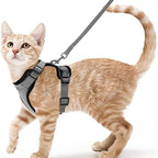 Anti-Escape Kitten Harness & Leash Set — Lightweight Breathable Vest