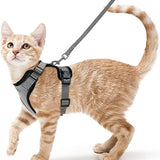 Anti-Escape Kitten Harness & Leash Set — Lightweight Breathable Vest