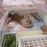 Washable Rabbit Floor Mat — Cotton Training Pad & Cage Liner