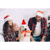 Plush Santa Hat for Dogs (Christmas Costume Accessory)