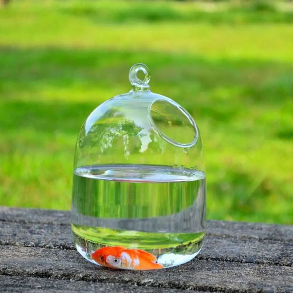 Hanging Glass Fish Bowl Vase (Round & Rectangle, Wall-Mounted)