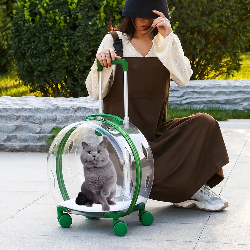 Large-Capacity Transparent Space Capsule Pet Suitcase with Shoulder Straps